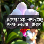 北交所20家上市公司遭机构扎堆调研,谁最引关注?(图3) 北交所20家上市公司遭机构扎堆调研,谁最引关注?(图3)