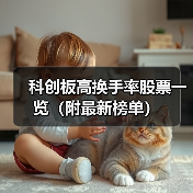 科创板高换手率股票一览（附最新榜单）