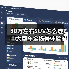 30万左右SUV怎么选？中大型车全场景体