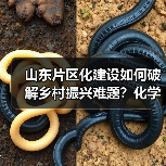 山东片区化建设如何破解乡村振兴难题？化学融合新路径揭秘(图3)