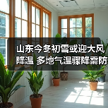 山东今冬初雪或迎大风降温 多地气温骤降需防范(图1) 山东今冬初雪或迎大风降温 多地气温骤降需防范(图1)