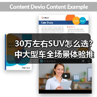 30万左右SUV怎么选？中大型车全场景体验推荐(图2)