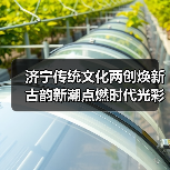 济宁传统文化两创焕新 古韵新潮点燃时代光彩