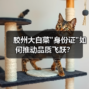 胶州大白菜 胶州大白菜身份证如何推动品质飞跃?(图4)