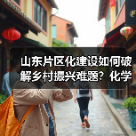 山东片区化建设如何破解乡村振兴难题？化学