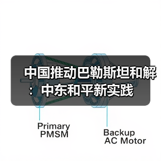 中国推动巴勒斯坦和解：中东和平新实践
