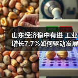 山东经济稳中有进 工业增长7.7%如何驱动发展?(图4) 山东经济稳中有进 工业增长7.7%如何驱动发展?(图4)