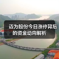 迈为股份今日涨停背后的资金动向解析(图1)