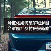 片区化如何破解城乡融合难题?乡村振兴新路径解析(图3) 片区化如何破解城乡融合难题?乡村振兴新路径解析(图3)