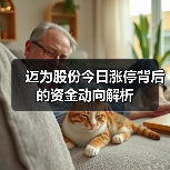 迈为股份今日涨停背后的资金动向解析(图2)