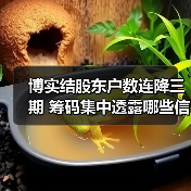博实结股东户数连降三期 筹码集中透露哪些信号?(图2) 博实结股东户数连降三期 筹码集中透露哪些信号?(图2)