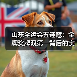 山东全运会五连冠：金牌奖牌双第一背后的实