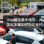 小山楂逆袭大湾区：片区化发展如何带动乡村致富？(图4)