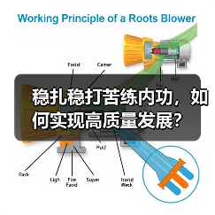 稳扎稳打苦练内功，如何实现高质量发展？(图3)