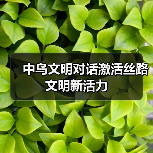 中乌文明对话激活丝路文明新活力(图3)