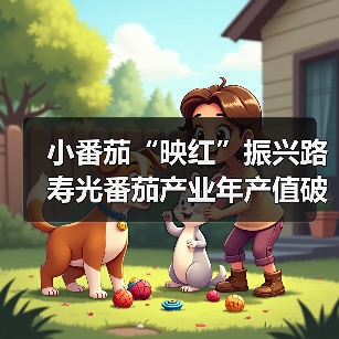小番茄“映红”振兴路 寿光番茄产业年产值破亿(图3) 小番茄“映红”振兴路 寿光番茄产业年产值破亿(图3)