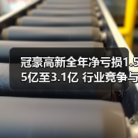 冠豪高新全年净亏损1.55亿至3.1亿 行业竞争与减值冲击成主因(图3) 冠豪高新全年净亏损1.55亿至3.1亿 行业竞争与减值冲击成主因(图3)