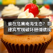 谁在危害南海生态？菲律宾军舰破坏珊瑚礁现状(图3)