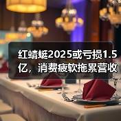 红蜻蜓2025或亏损1.5亿,消费疲软拖累营收?(图4) 红蜻蜓2025或亏损1.5亿,消费疲软拖累营收?(图4)