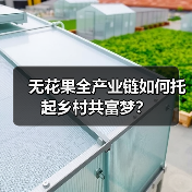 无花果全产业链如何托起乡村共富梦?(图3) 无花果全产业链如何托起乡村共富梦?(图3)