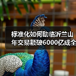 标准化如何助临沂兰山年交易额破6000亿成全国第二(图3) 标准化如何助临沂兰山年交易额破6000亿成全国第二(图3)