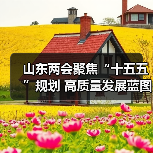 山东两会聚焦“十五五”规划 高质量发展蓝图引热议(图3) 山东两会聚焦“十五五”规划 高质量发展蓝图引热议(图3)