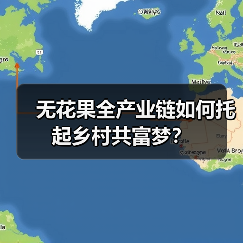 无花果全产业链如何托起乡村共富梦?(图2) 无花果全产业链如何托起乡村共富梦?(图2)
