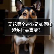 无花果全产业链如何托起乡村共富梦?(图4) 无花果全产业链如何托起乡村共富梦?(图4)