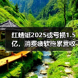 红蜻蜓2025或亏损1.5亿,消费疲软拖累营收?(图3) 红蜻蜓2025或亏损1.5亿,消费疲软拖累营收?(图3)