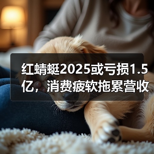 红蜻蜓2025或亏损1.5亿,消费疲软拖累营收?(图2) 红蜻蜓2025或亏损1.5亿,消费疲软拖累营收?(图2)
