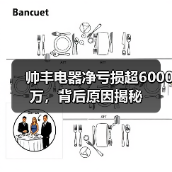帅丰电器净亏损超6000万，背后原因揭秘(图2)