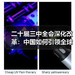 二十届三中全会深化改革：中国如何引领全球现代化进程？(图3)