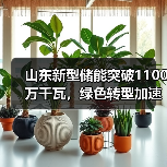 山东新型储能突破1100万千瓦，绿色转型加速(图3)