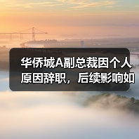 华侨城A副总裁因个人原因辞职,后续影响如何?(图2) 华侨城A副总裁因个人原因辞职,后续影响如何?(图2)