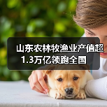 山东农林牧渔业产值超1.3万亿领跑全国(图3)