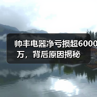 帅丰电器净亏损超6000万，背后原因揭秘