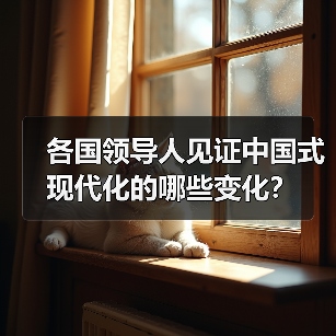 各国领导人见证中国式现代化的哪些变化？(图4)