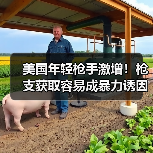 美国年轻枪手激增！枪支获取容易成暴力诱因(图4)