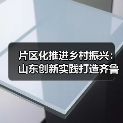 片区化推进乡村振兴：山东创新实践打造齐鲁样板(图4)