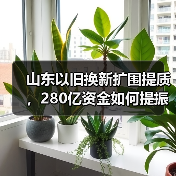 山东以旧换新扩围提质，280亿资金如何提振消费？(图2)