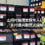 山间村抱团发展年入亿，乡村振兴新范式揭秘(图2)