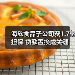 海欣食品子公司获1.7亿担保 贷款置换成关键(图4)