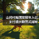 山间村抱团发展年入亿，乡村振兴新范式揭秘(图4)