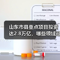 山东市县重点项目投资达2.8万亿，哪些领域迎来新机遇？(图4)