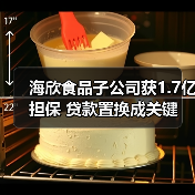 海欣食品子公司获1.7亿担保 贷款置换成关键(图2)