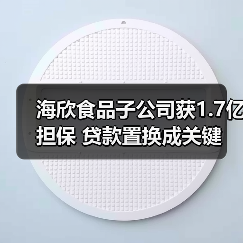 海欣食品子公司获1.7亿担保 贷款置换成关键(图3)