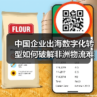 中国企业出海数字化转型如何破解非洲物流难题？(图2)