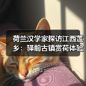 荷兰汉学家探访江西莲乡：驿前古镇赏荷体验千年莲韵(图2)