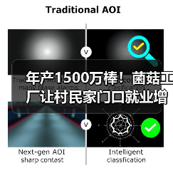 年产1500万棒！菌菇工厂让村民家门口就业增收(图1)