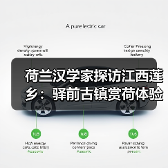 荷兰汉学家探访江西莲乡：驿前古镇赏荷体验